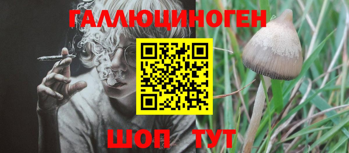 Артём  цена наркотик  Вход с VPN  Псилоцибиновые грибы Psilocybine cubensis 